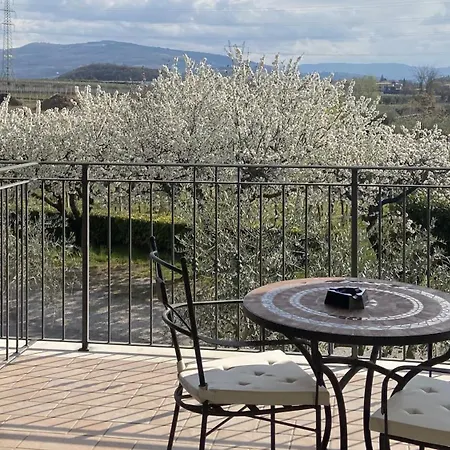 Arizona Bed & Breakfast