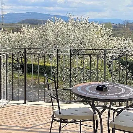 B&B Arizona 4*